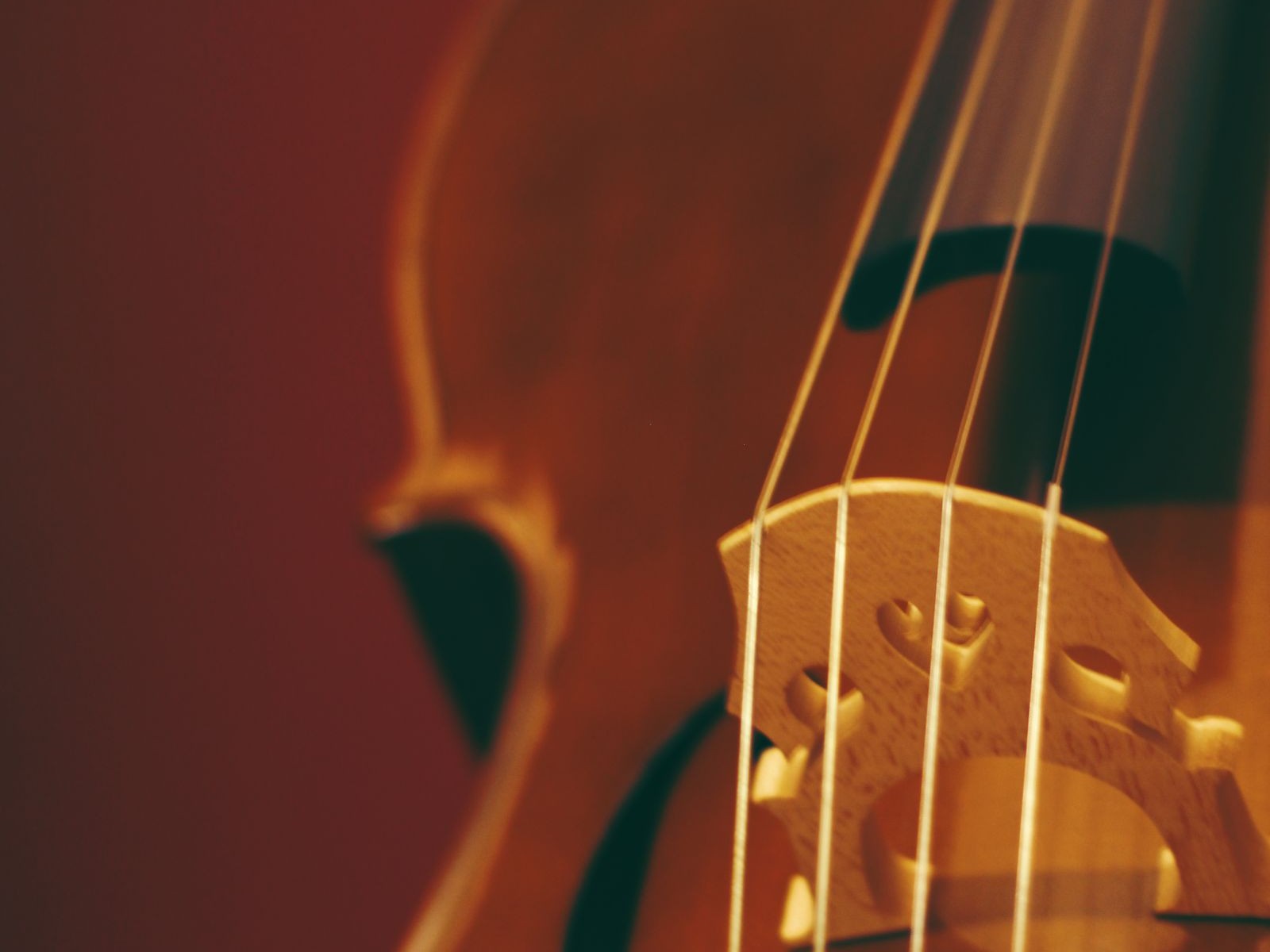 Close-up of a violin bridge and f-hole