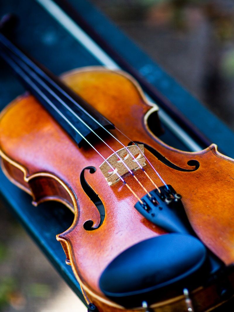A violin resting in its case