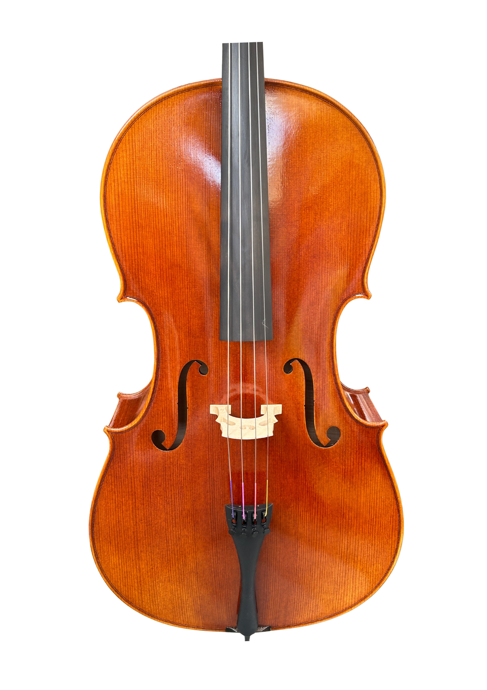 Venus P230