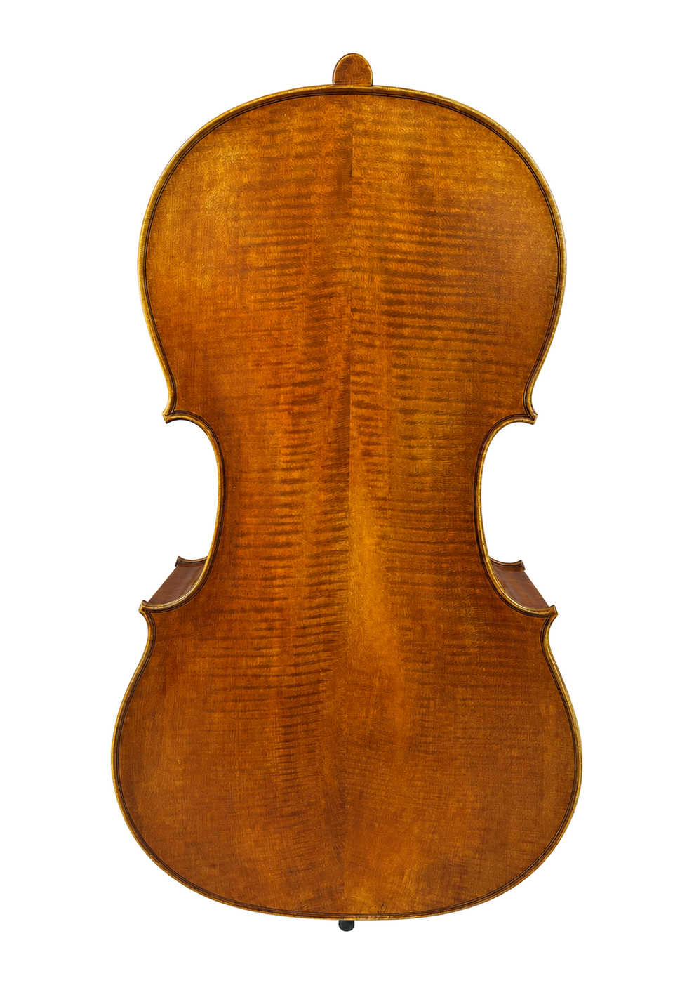 Venus P232 Back
