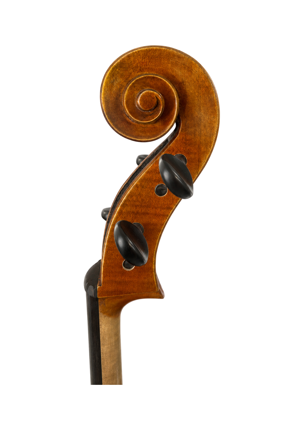 Venus P232 Head