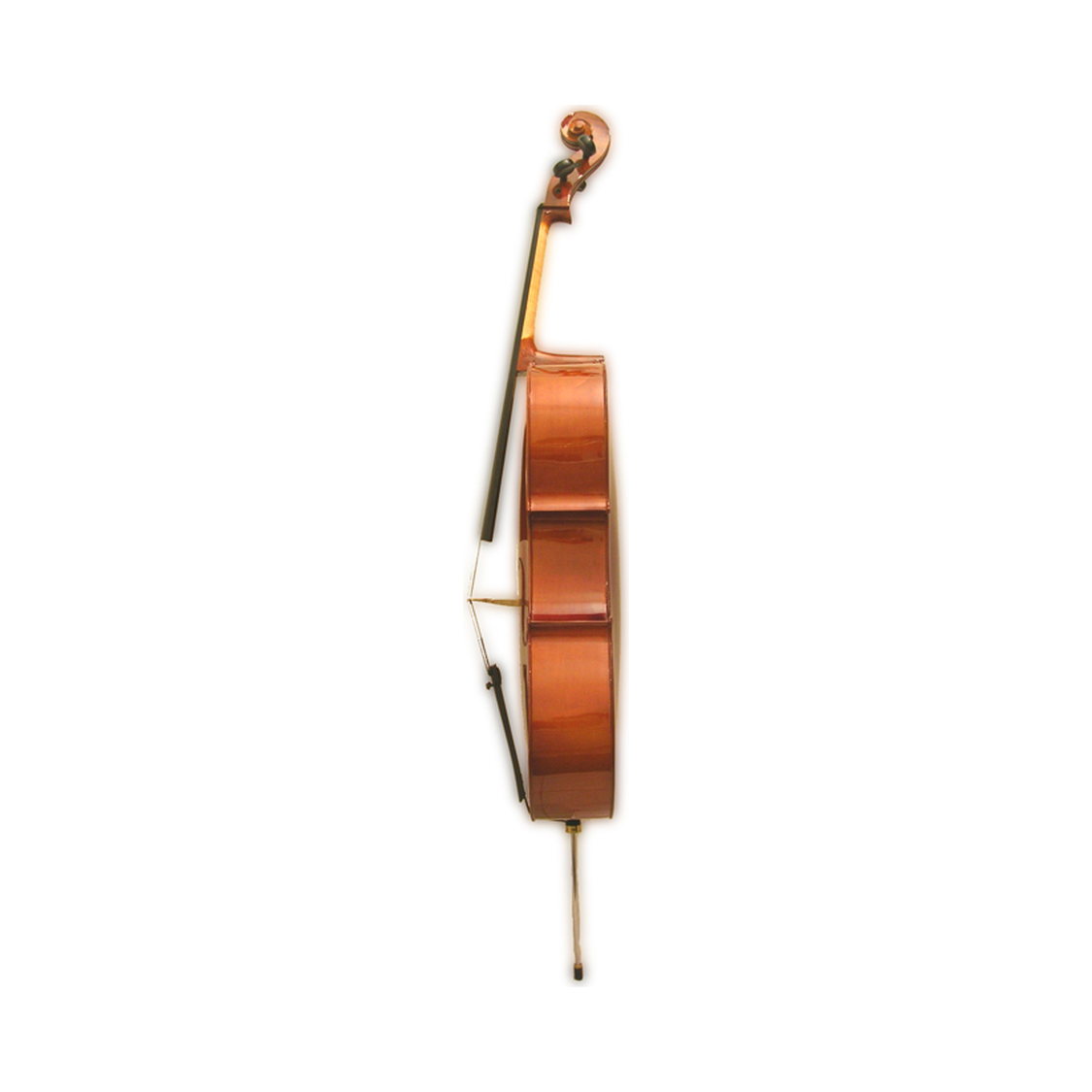 Venus P130 Head