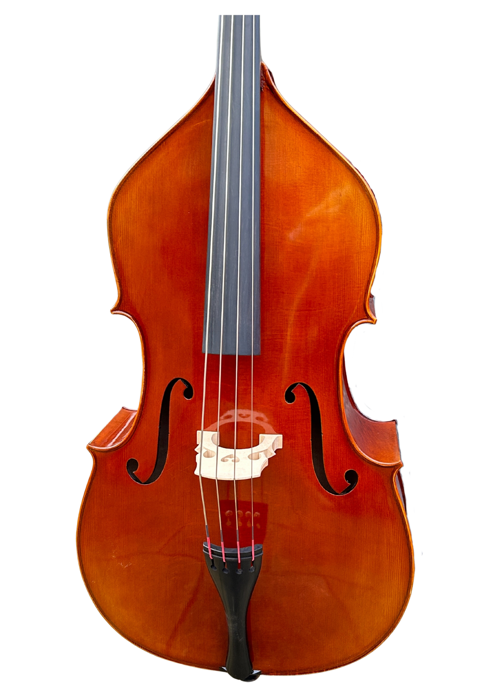 Venus P240