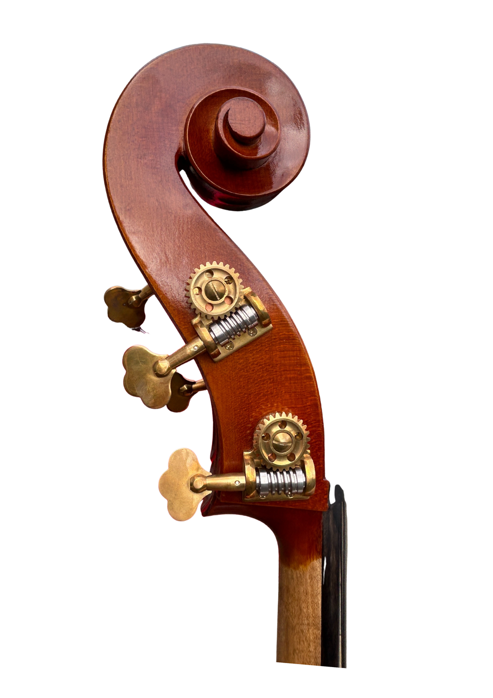 Venus P240 Head