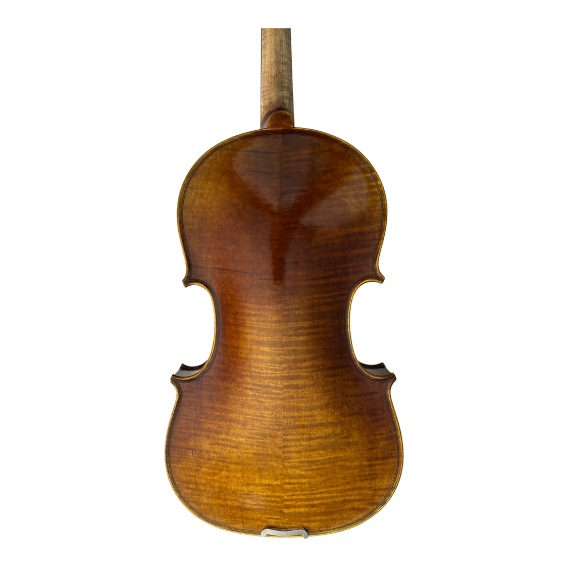 Venus P220 Back