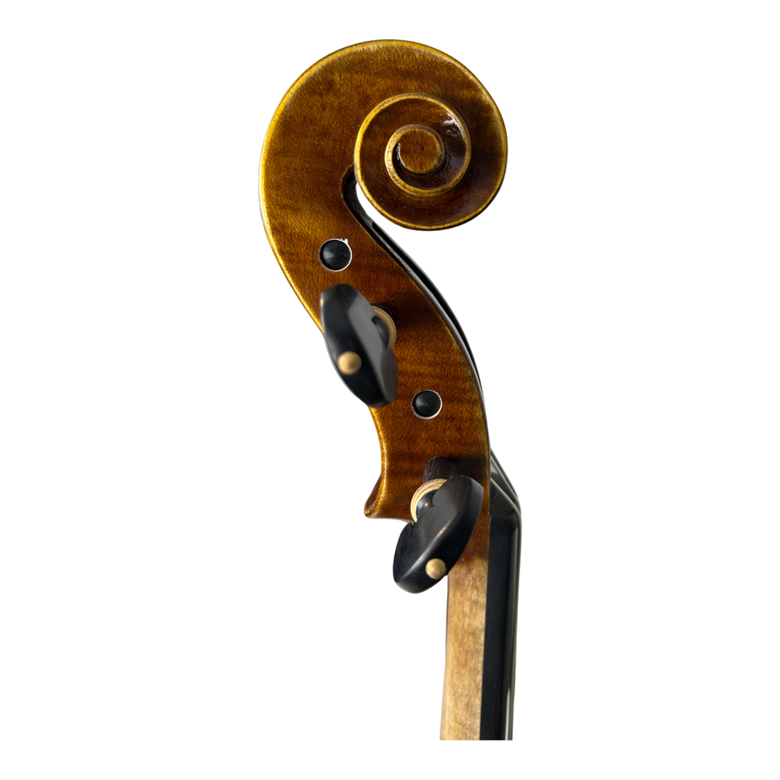 Venus P220 Head