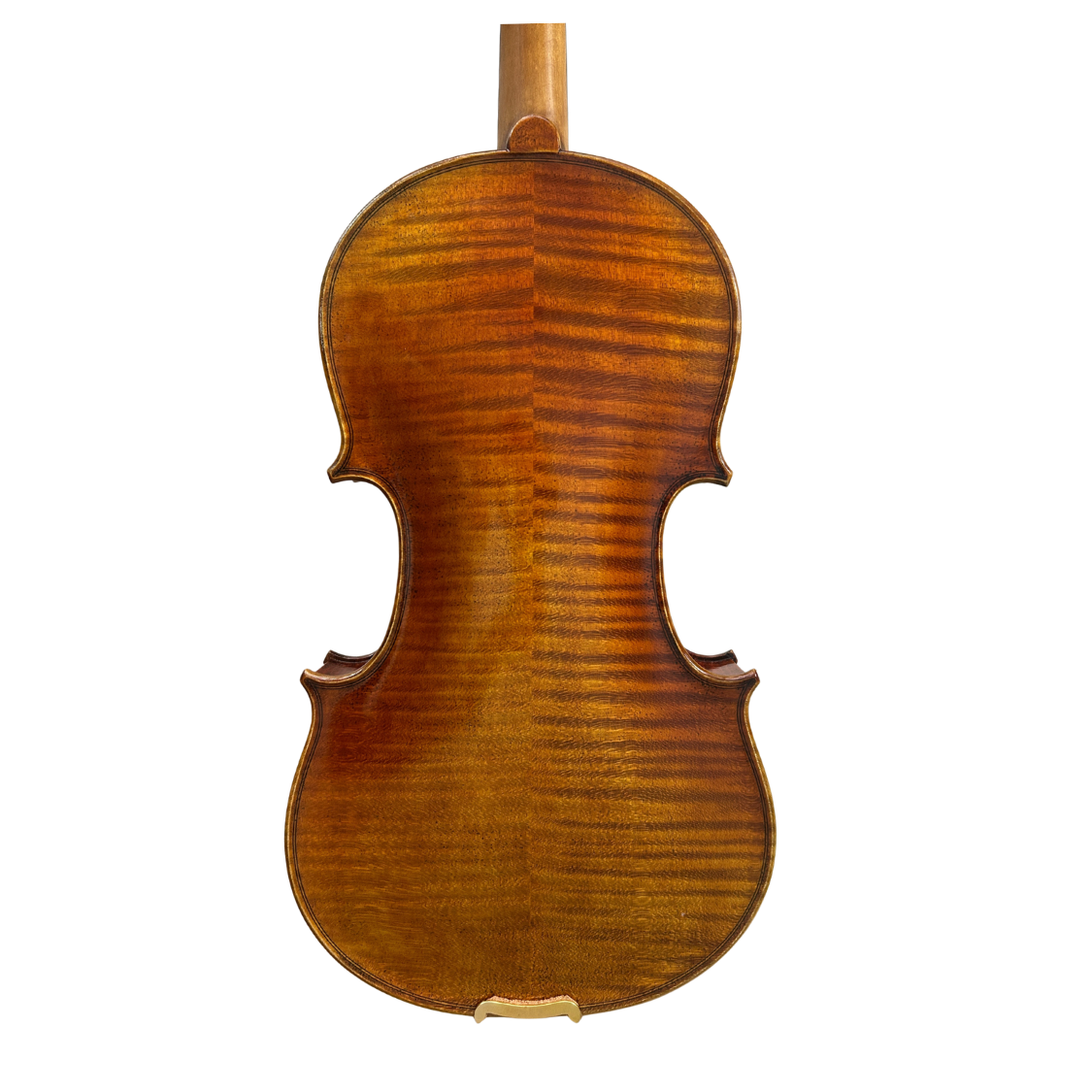 Venus P212 Back