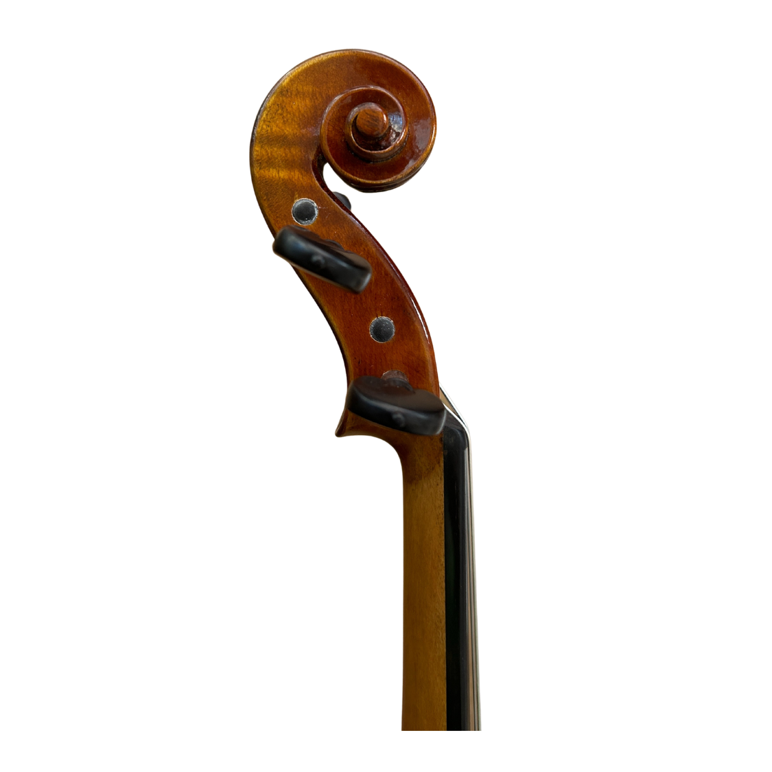 Venus P212 Head