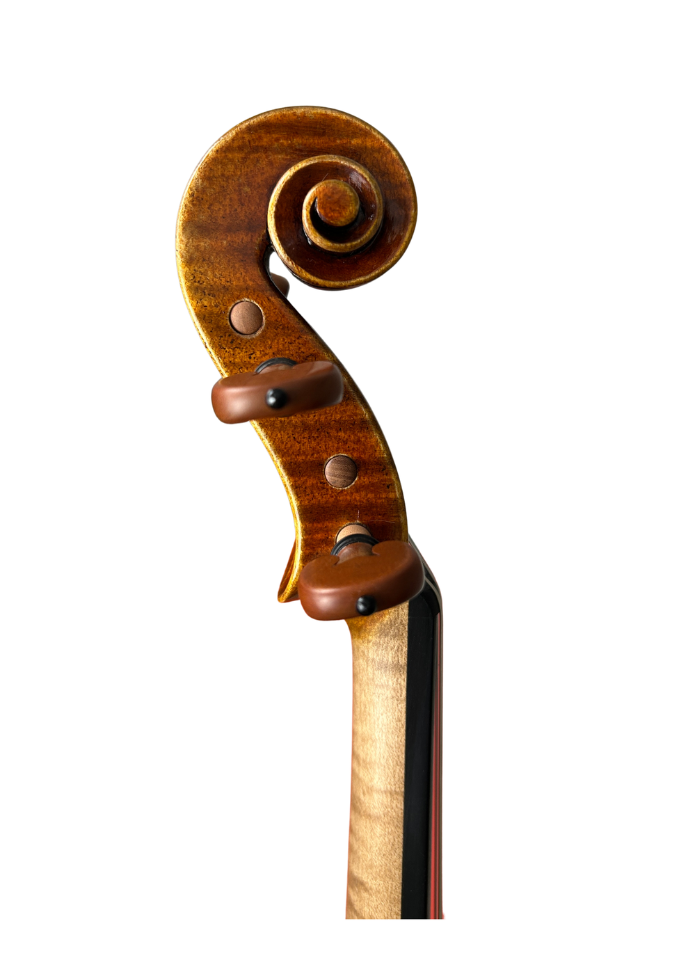 Venus P214 Head