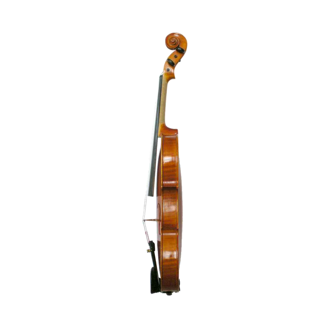 Venus P110 Head